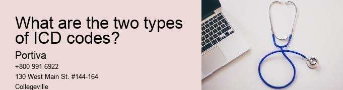 What are the two types of ICD codes?